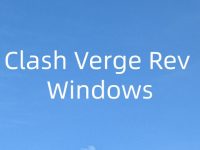 Clash Verge Rev 导入教程（Windows）
